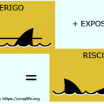 Perigo e risco têm significados distintos